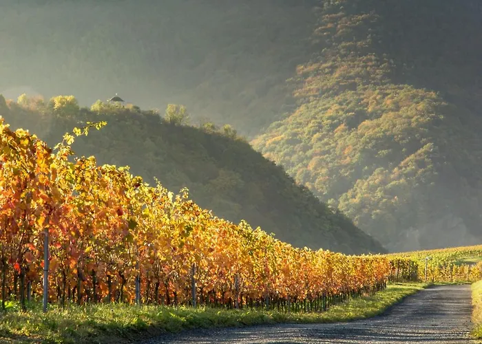 Apartamento Auszeit Bad Neuenahr-Ahrweiler